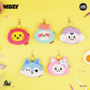 WDZY Coin Case