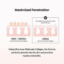 Pore Tightening Collagen Cream 50ml