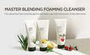 Herb Day 365 Master Blending Cleansing Foam Aloe & Green Tea Face Cleanser 5.07 Fl Oz