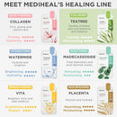 Tea Tree Essential Blemish Control Mask 10EA