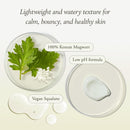 Artemisia Squalane Hydra Gel Cream