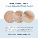 Hyalu-CICA Sleeping Pack 3.38 fl.oz / 100ml