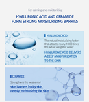 ATO Mild Sun Cream 75ml- All Skin Types, Broad Spectrum SPF 50