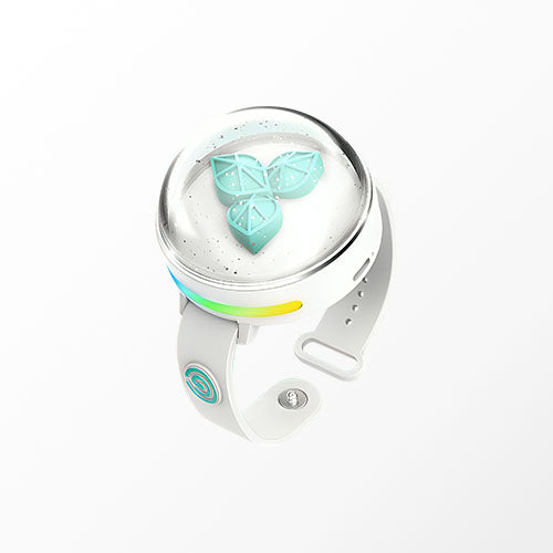 Official Light Band [Ver. 3]