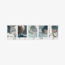 TXT - Photo Magnet Set [The Star Chapter: SANCTUARY Official MD]