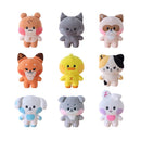 ZEROBASEONE - Zeroni Minini Flat Cushion